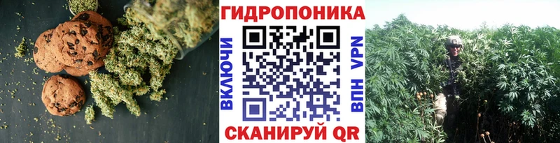 Canna-Cookies конопля  Зуевка 