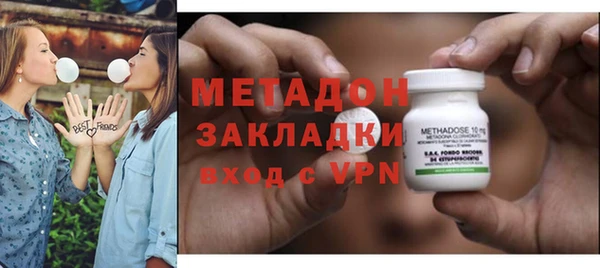 прущие грибы Аркадак