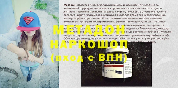 прущие грибы Аркадак