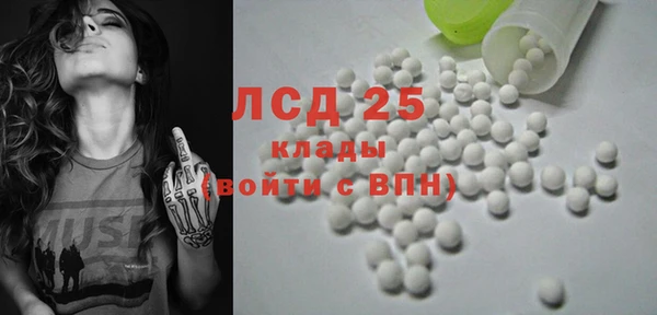 прущие грибы Аркадак