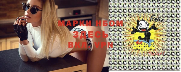 твердый Арсеньев