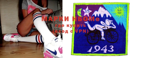 твердый Арсеньев