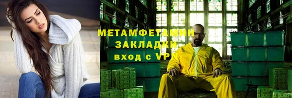 ПСИЛОЦИБИНОВЫЕ ГРИБЫ Кедровый