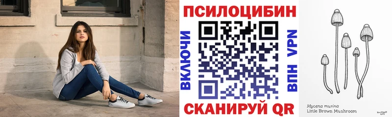 хочу наркоту  mega сайт  Галлюциногенные грибы MAGIC MUSHROOMS  Зуевка 